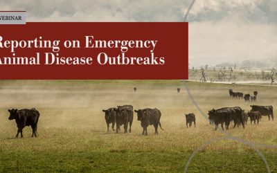 Webinar: Reporting on Emergency Animal Disease Outbreaks